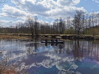 Каноэ2.jpg